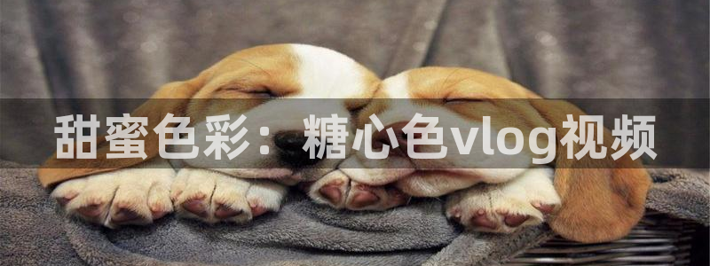 糖心vlog小桃第一页：甜蜜色彩：糖心色