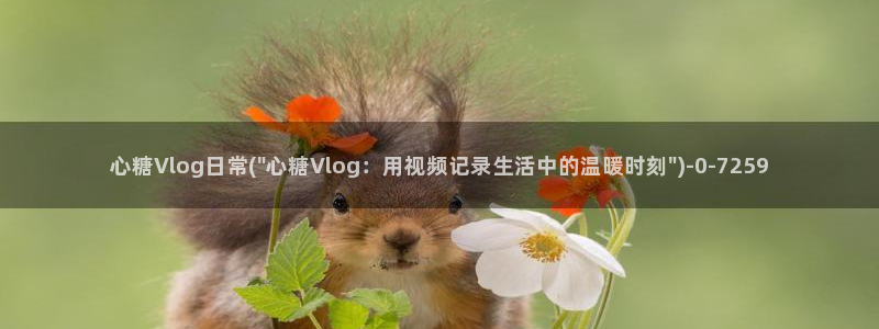 怎么破解糖心vlog