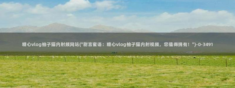 糖心vlog所有作品