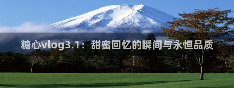 糖心vlog婚纱:糖心vlog3.1:甜