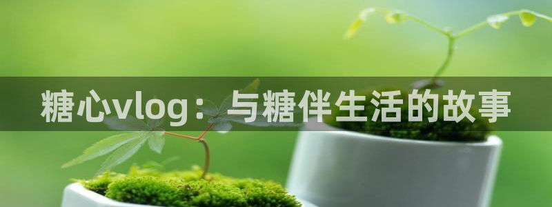 糖心vlog怎么消除:糖心vlog:与糖伴生活的故事