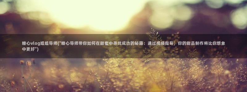 夫妻vlog糖心：糖心vlog姐姐导师(\