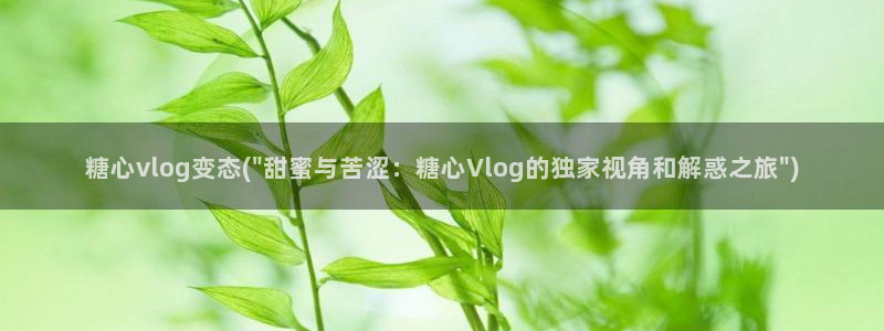 糖心vlog小说：糖心vlog变态(\