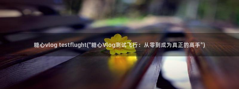 糖心vlog洛丽塔少女:糖心vlog t