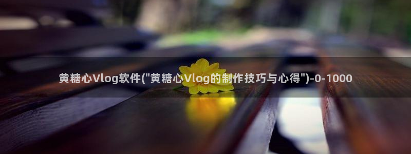 糖心vlog飞机号：黄糖心Vlog软件(
