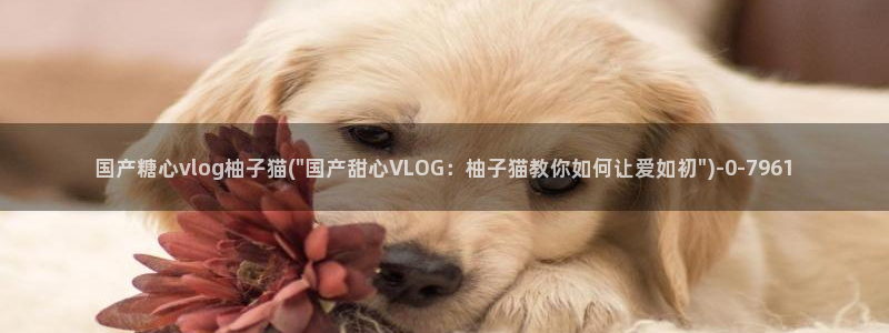 心糖vlog免费下载：国产糖心vlog柚
