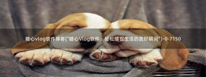 糖心vlog素人:糖心vlog软件博客(