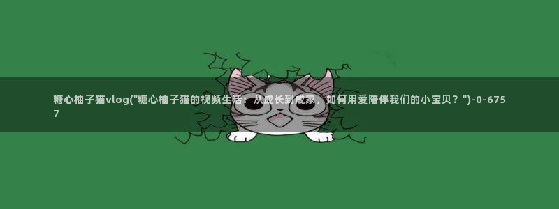 糖心vlog 汉服:糖心柚子猫vlog(