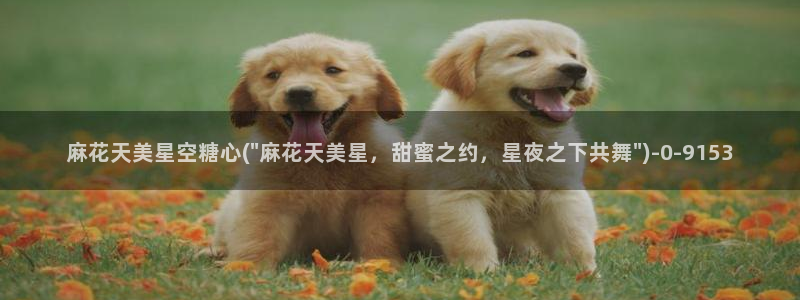 糖心vlog星辰