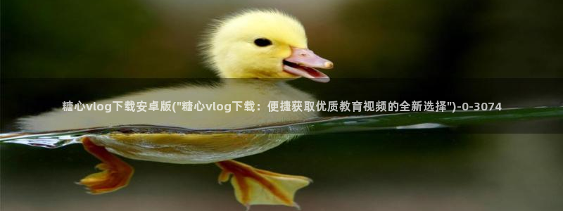 糖心vlog在线观看_糖心vlog小桃：糖心vlog下载安卓