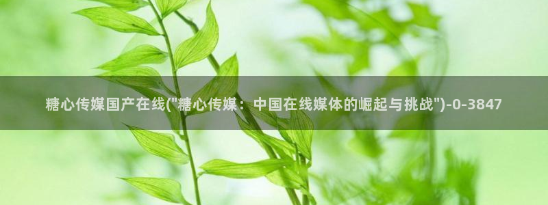 心糖vlog