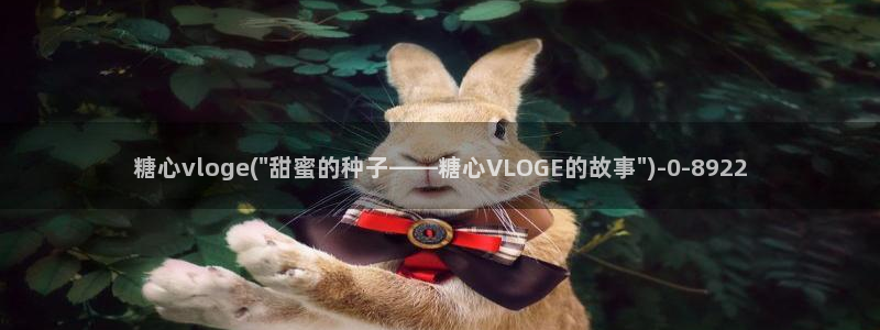 #糖心vlog：糖心vloge(\